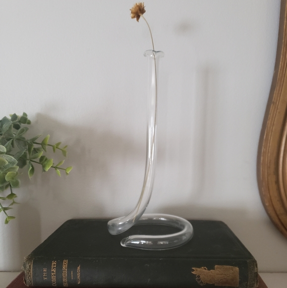 None Accents Vintage Glass Test Tube Bud Vase Poshmark